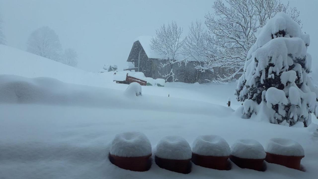 Snow+Surf B&B Lauenen Zewnętrze zdjęcie