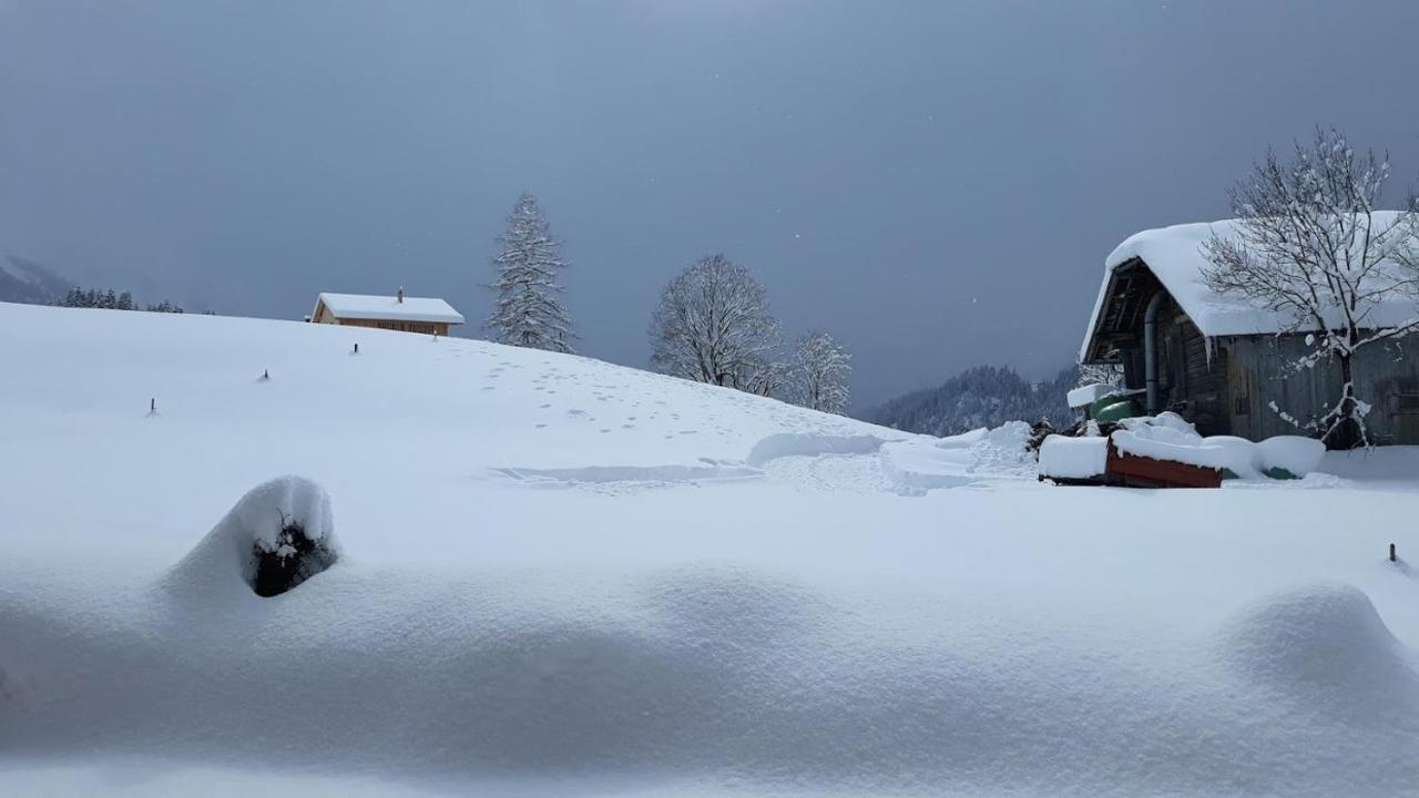 Snow+Surf B&B Lauenen Zewnętrze zdjęcie