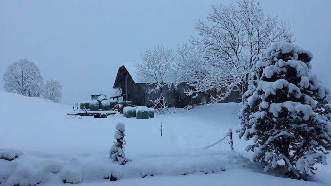 Snow+Surf B&B Lauenen Zewnętrze zdjęcie